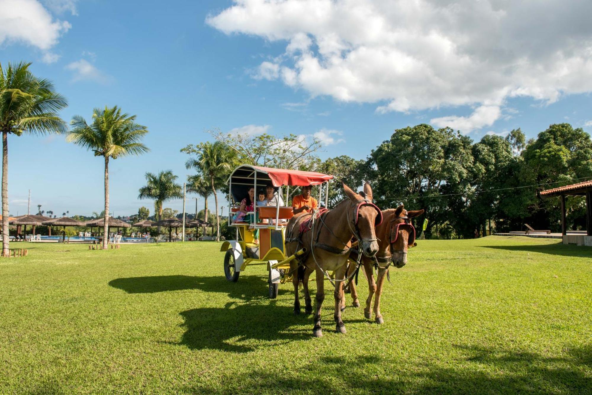 Hotel Fazenda Mirage Feira de Santana Kültér fotó